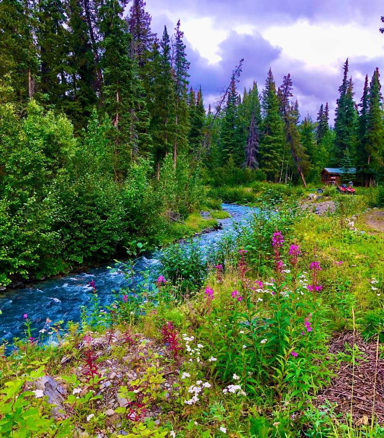 Carlo Creek Cabins Denali Park Esterno foto
