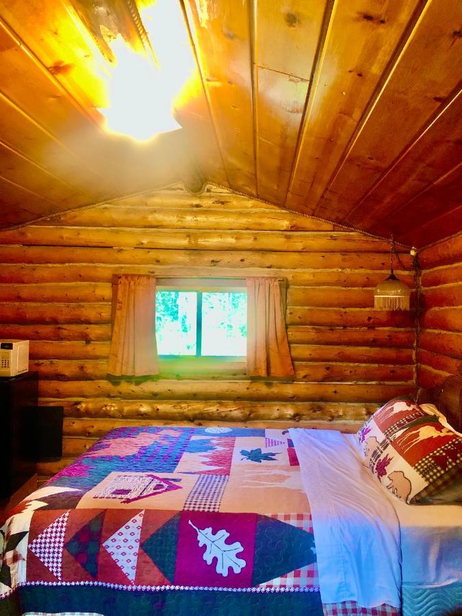 Carlo Creek Cabins Denali Park Esterno foto