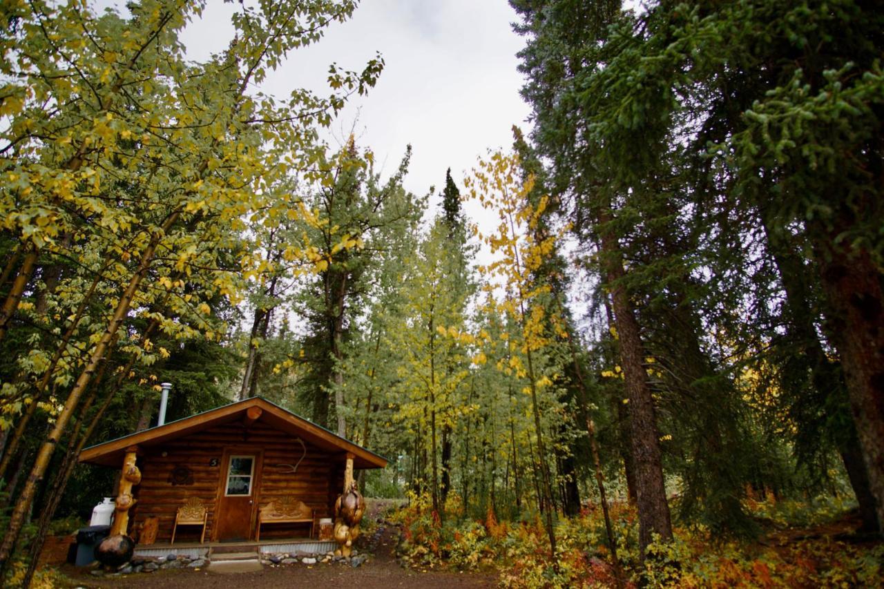 Carlo Creek Cabins Denali Park Esterno foto