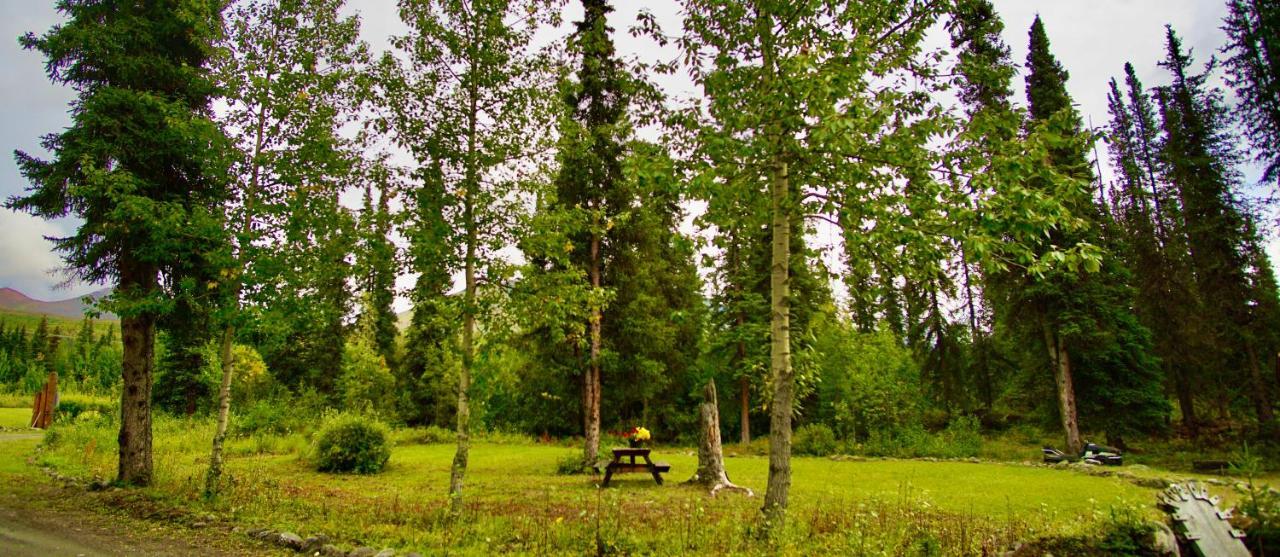 Carlo Creek Cabins Denali Park Esterno foto
