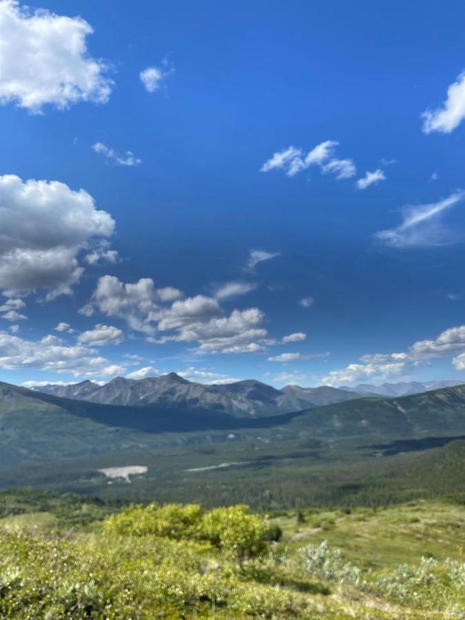Carlo Creek Cabins Denali Park Esterno foto