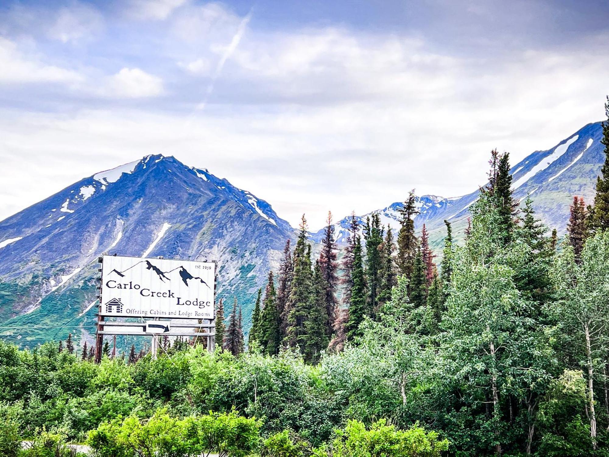 Carlo Creek Cabins Denali Park Esterno foto