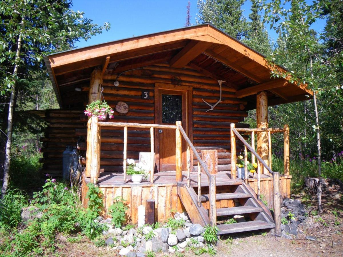 Carlo Creek Cabins Denali Park Esterno foto